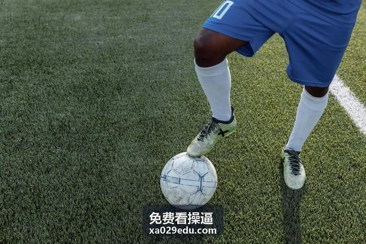免费看操逼精选封面图
